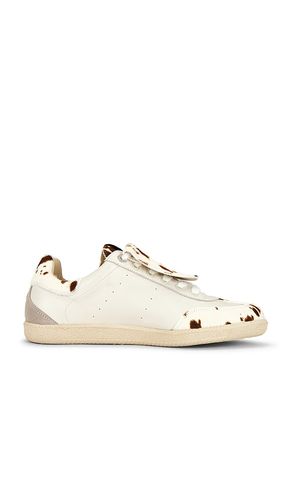 SNEAKERS PLUS DUKE in . Größe 10. Also in 11, 12, 13, 9 - Duke + Dexter - Modalova