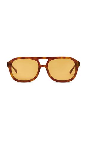 Gafas de sol capri en color marrón talla all - DEVON WINDSOR - Modalova