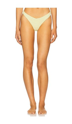 Nina Bikini Bottom in . - size S (also in XL, XS) - DEVON WINDSOR - Modalova