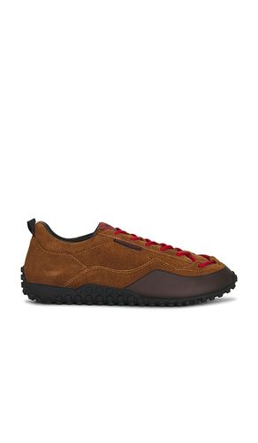 Checkmate Driver Sneaker in Brown. - size 41 (also in 42, 43, 44, 45, 46) - East Pacific Trade - Modalova