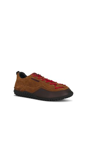 Checkmate Driver Sneaker in Brown. - size 41 (also in 42, 43, 44, 45, 46) - East Pacific Trade - Modalova