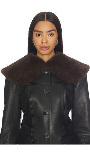 EAVES Dagna Collar in Camel - EAVES - Modalova