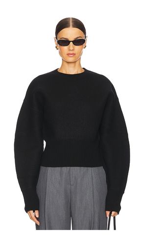 Arlet Crewneck Sweater in . - size L (also in XL) - EAVES - Modalova