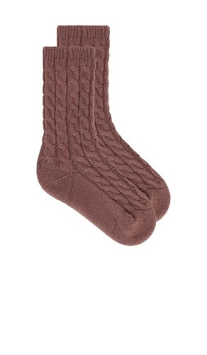 Eberjey SOCKEN in Taupe - eberjey - Modalova