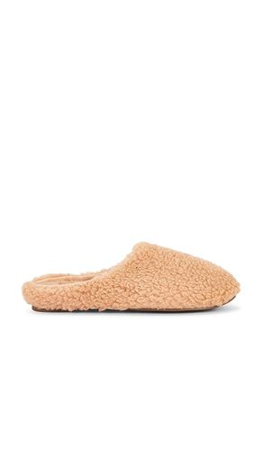 SLIPPERS in . Größe L. Also in S - eberjey - Modalova