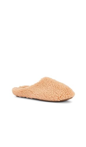 Sherpa Slipper in Taupe. - size L (also in M, S) - eberjey - Modalova