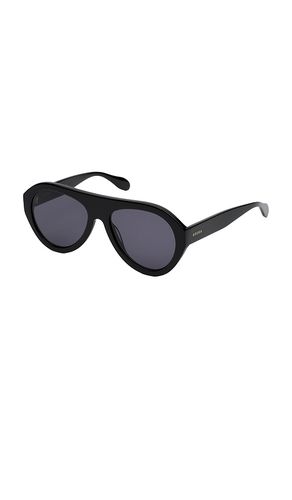 EDERA SONNENBRILLE AVENA in Black - EDERA - Modalova