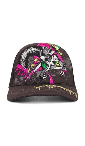 Rhinestone Dagger Snake Hat in Grey - Ed Hardy - Modalova