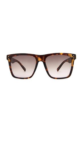 AIRE SONNENBRILLE KRAZ in Brown - AIRE - Modalova