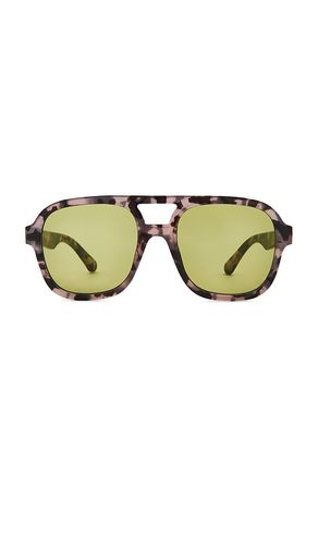 SONNENBRILLE WHIRLPOOL in - AIRE - Modalova
