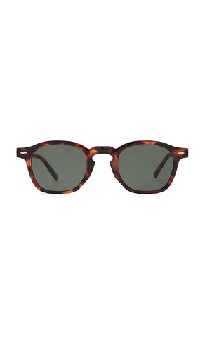 AIRE Nyxis Sunglasses in Brown - AIRE - Modalova