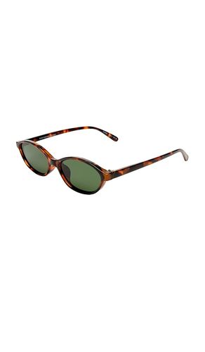 SONNENBRILLE EARTHSHINE in - AIRE - Modalova