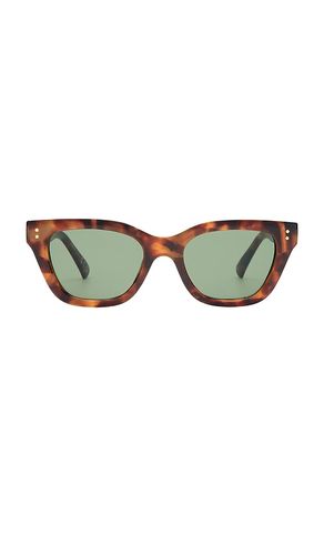 AIRE Nightglow Sunglasses in Brown - AIRE - Modalova