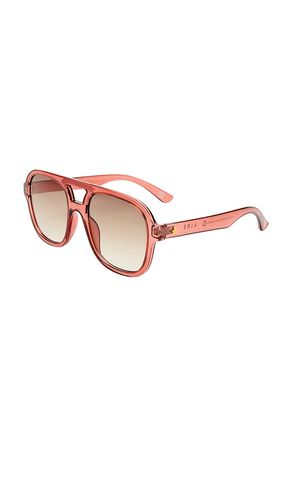 SONNENBRILLE WHIRLPOOL in - AIRE - Modalova
