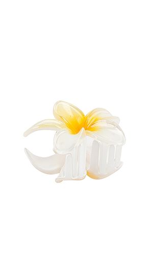 Emi Jay CLIP SUPER BLOOM in Ivory - Emi Jay - Modalova
