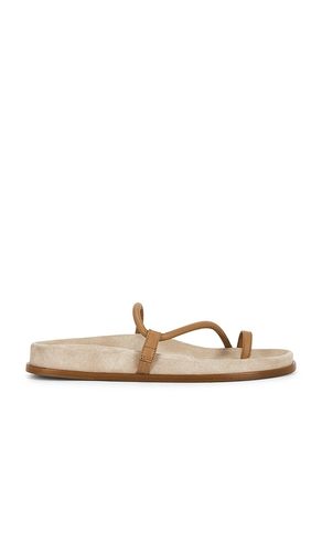 Bari Slide in . Size 37. Also in 38, 39, 40 - Emme Parsons - Modalova