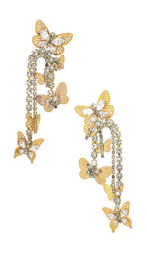 Mariposa Earrings in - Elizabeth Cole - Modalova