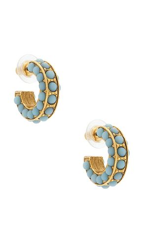Aira Earrings in - Elizabeth Cole - Modalova