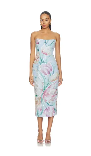 Priselle Strapless Midi Dress in Multi. - size M (also in S, XL, XS) - ELLIATT - Modalova