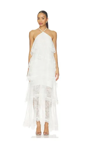Evelin Lace Gown in . - size XS (also in S, M) - ELLIATT - Modalova