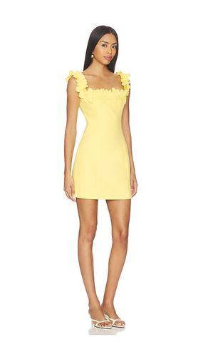 MINIKLEID CARA in . Größe L. Also in XXL - ELLIATT - Modalova