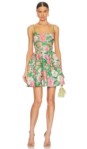 Mikaela Dress in Green. - size L (also in M, XL) - ELLIATT - Modalova