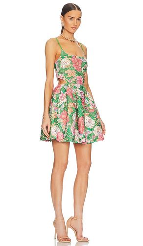 KLEID MIKAELA in . Größe L. Also in S, XL - ELLIATT - Modalova