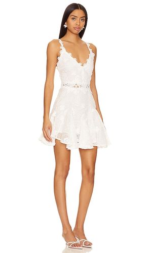 KLEID SALOME in . Größe M. Also in L, XL - ELLIATT - Modalova