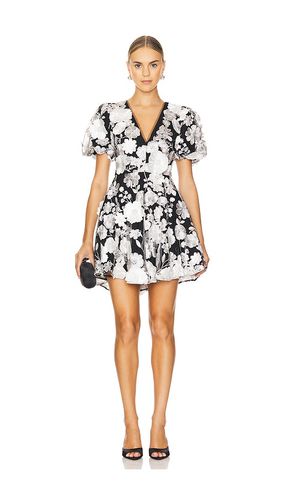 Selene Mini Dress in . - size L (also in M, S, XL, XS) - ELLIATT - Modalova