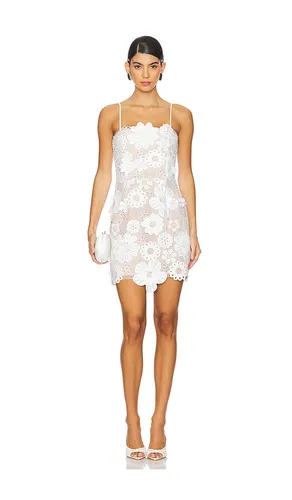 Autumn Mini Dress in . Size S. Also in M - ELLIATT - Modalova