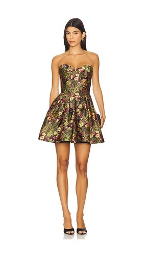 SCHULTERFREIES MINIKLEID CINDY in . Größe L. Also in XL - ELLIATT - Modalova