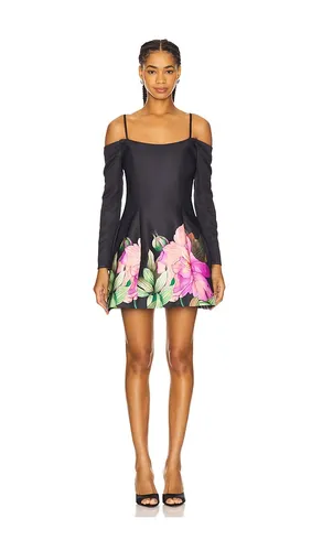 Azelie Off Shoulder Mini Dress in . - size M (also in S) - ELLIATT - Modalova