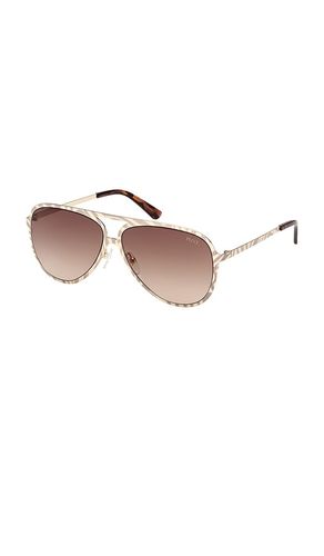 Emilio Pucci SONNENBRILLE in Cream - Emilio Pucci - Modalova