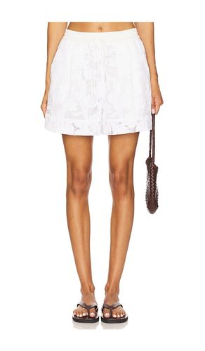 Hazer Lace Shorts in . - size 32 (also in 34, 36, 38, 40) - Essentiel Antwerp - Modalova
