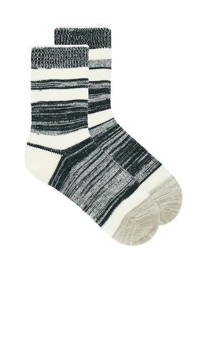 Cotton Heather Stripe Sock in Green - Eterne - Modalova