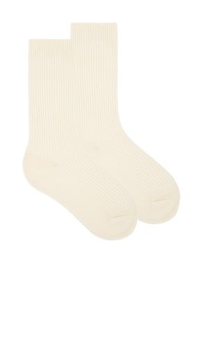 Eterne Classic Rib Socks in Cream - Eterne - Modalova