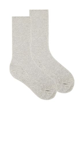 Eterne Classic Rib Socks in Grey - Eterne - Modalova