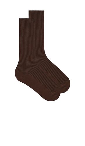 Classic rib socks in color brown size all - Eterne - Modalova