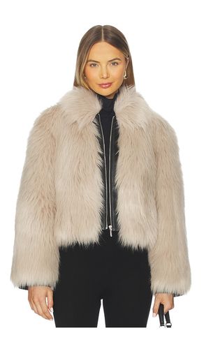 JACKE COMBO YATES in . Größe M. Also in XS, L - ET OCHS - Modalova
