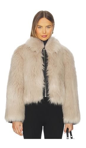 JACKE COMBO YATES in . Größe L. Also in M, S, XS - ET OCHS - Modalova