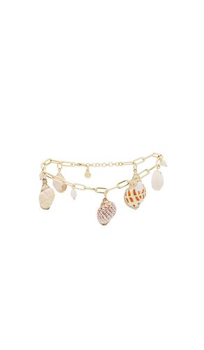 Paperclip Chain Shell Charm Anklet in Metallic - Ettika - Modalova