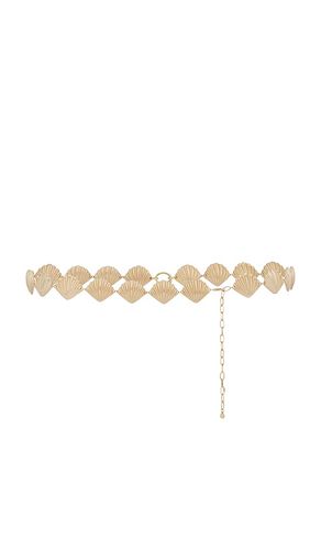 Shell belly chain in color metallic size all - Ettika - Modalova
