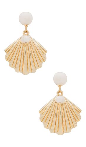 Shell earring in color metallic size all - Ettika - Modalova