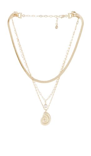 Shell Necklace in Metallic - Ettika - Modalova