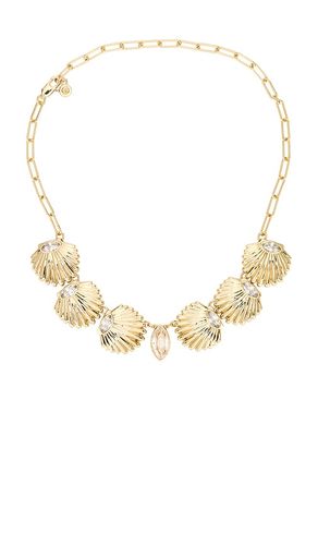 Ettika CHOKER in Metallic Gold - Ettika - Modalova
