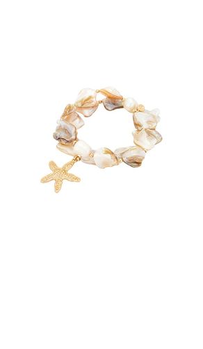 True Shell Bracelet Set in - Ettika - Modalova