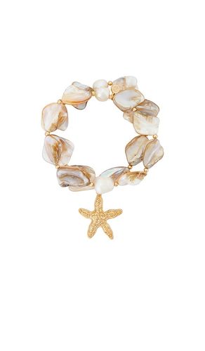True Shell Bracelet Set in - Ettika - Modalova