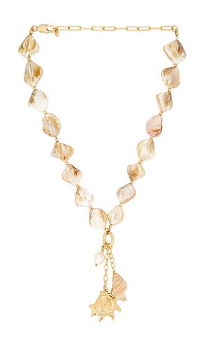 True Shell Necklace in - Ettika - Modalova