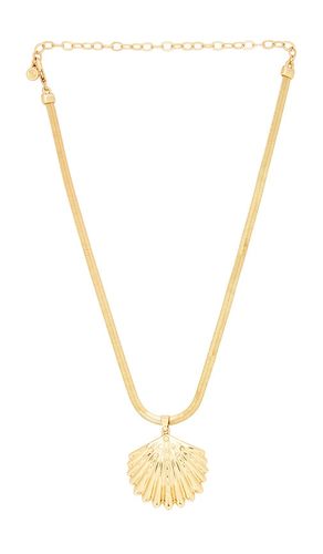 Herringbone Shell Necklace in - Ettika - Modalova
