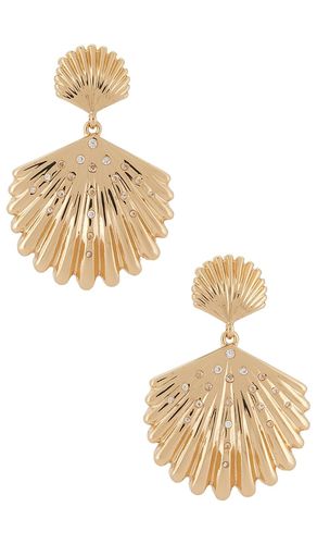 Sun Drenched Shell Earrings in - Ettika - Modalova